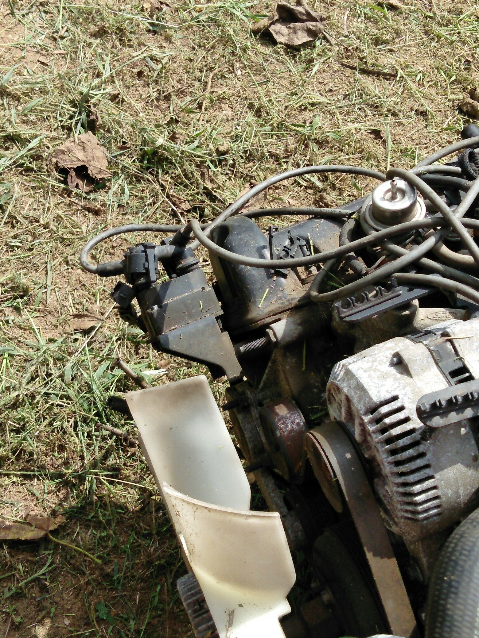 Motor