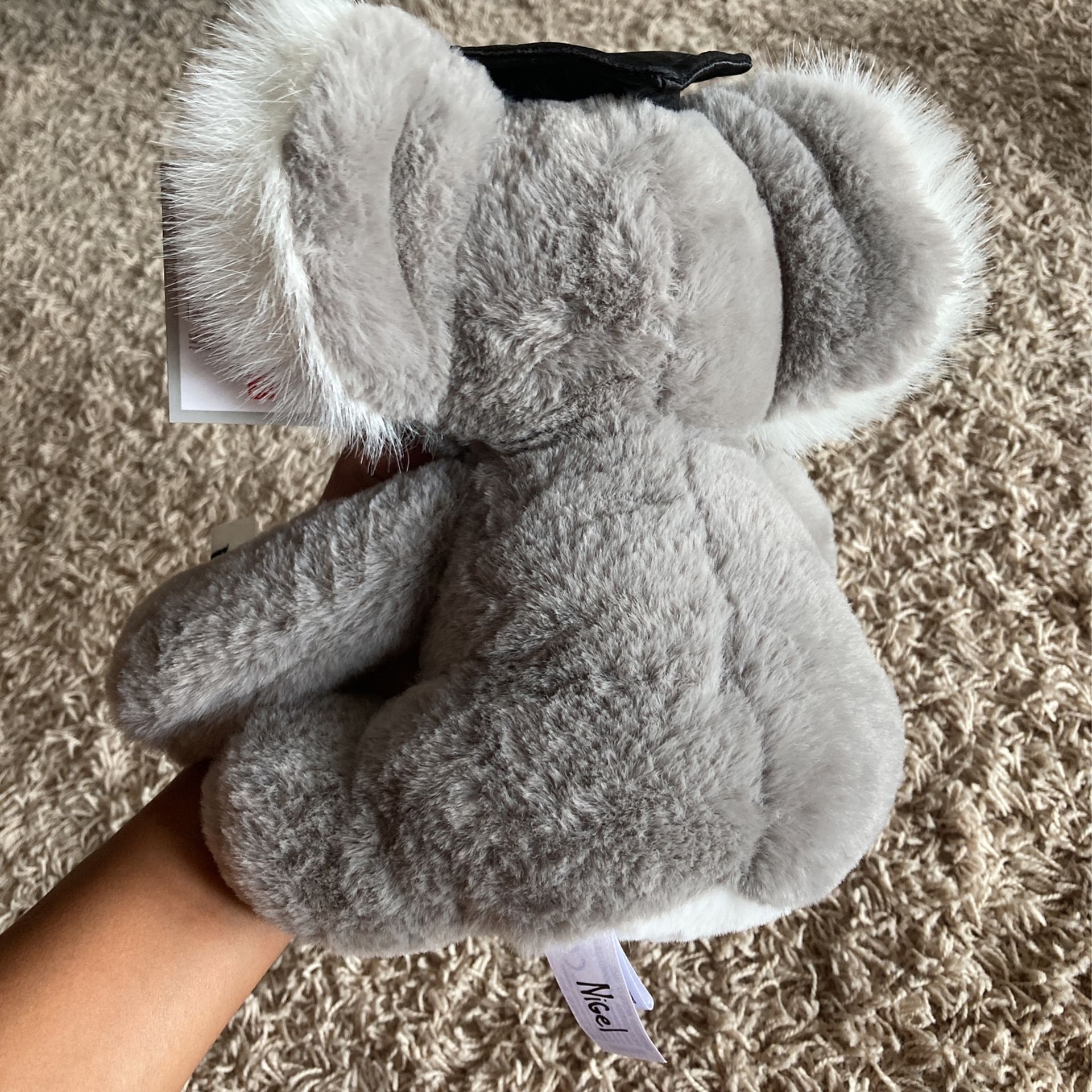 Graduation Bear