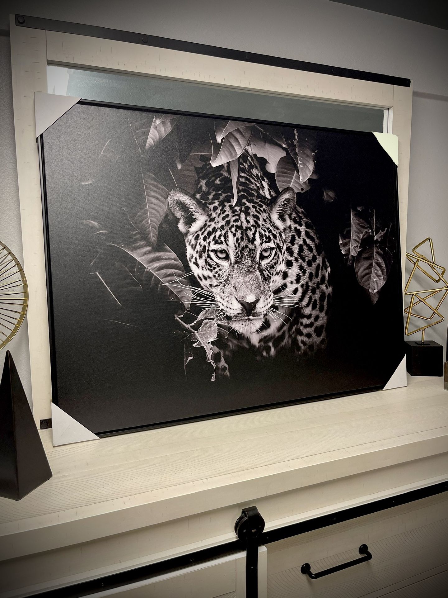 Cheetah Canvas