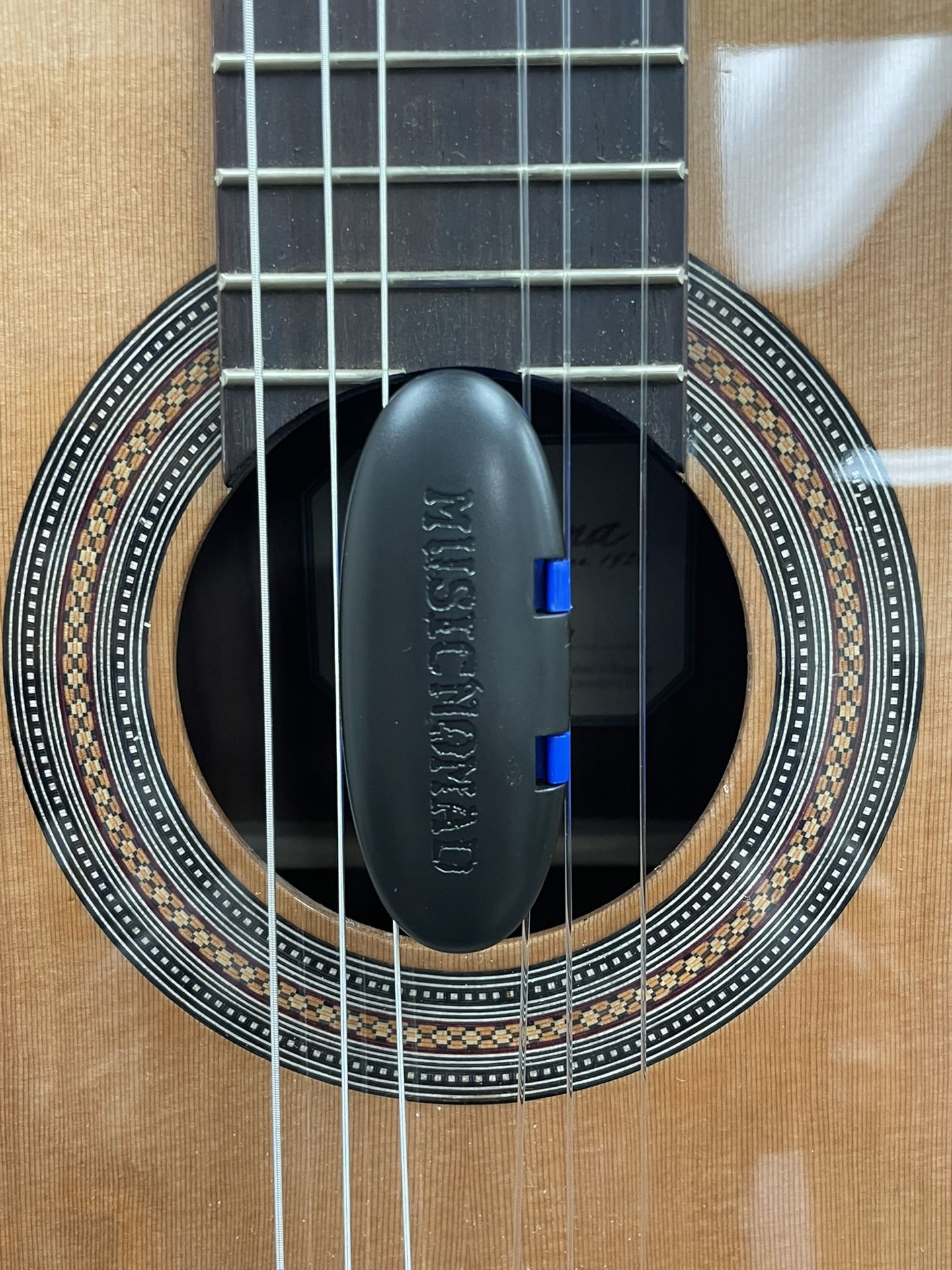 Kremona F65c Acoustic Guitar W/ Soft Gig Bag