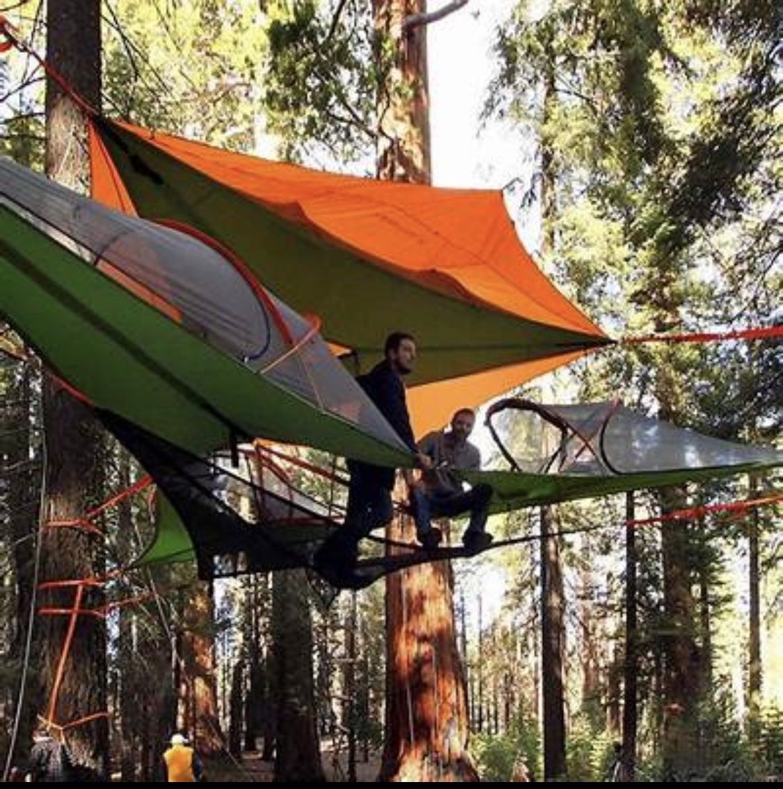 Tentsile Flite Tree Tent