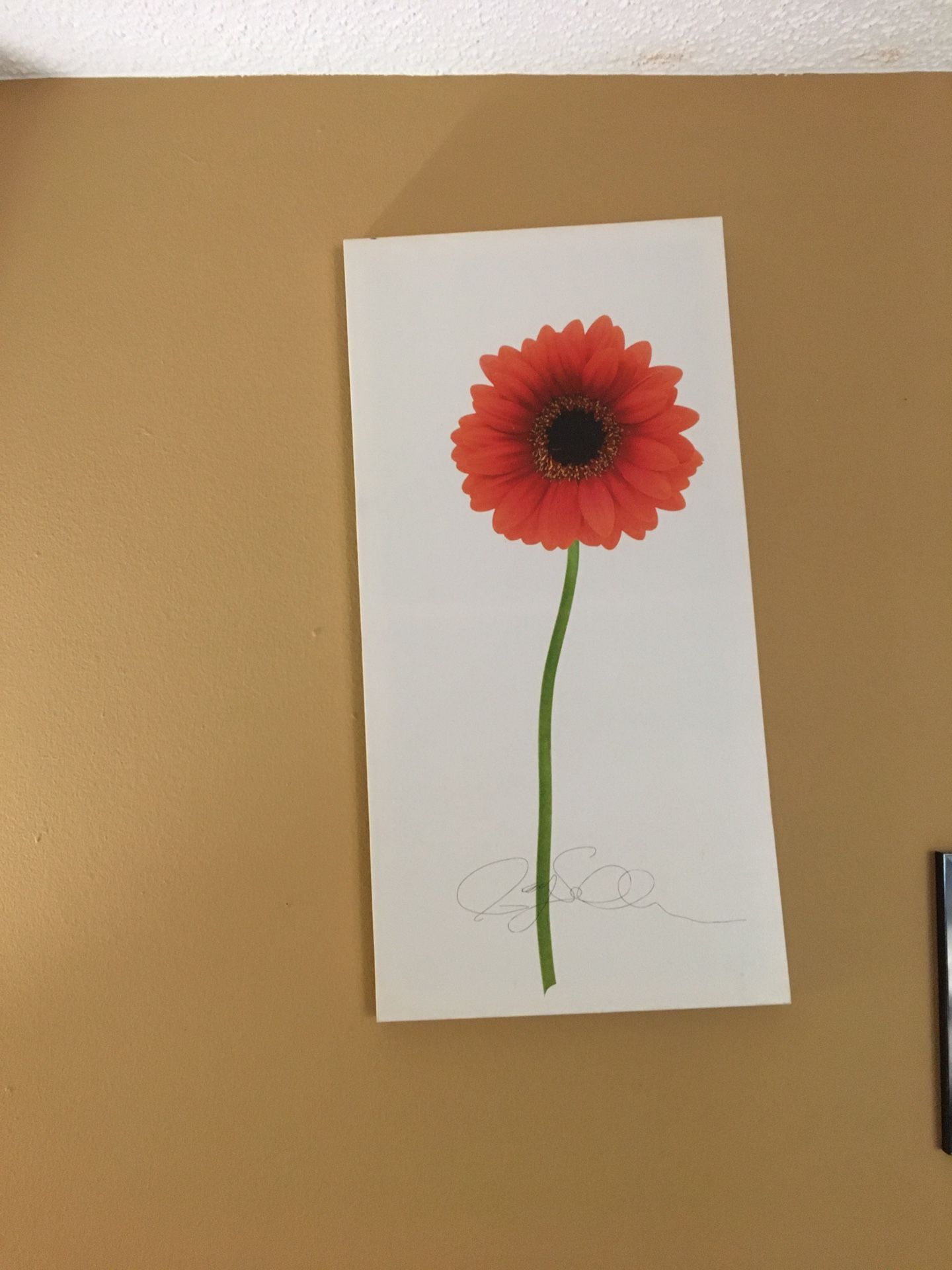 L31 By W16 Wall Art On Canvas $10 Each