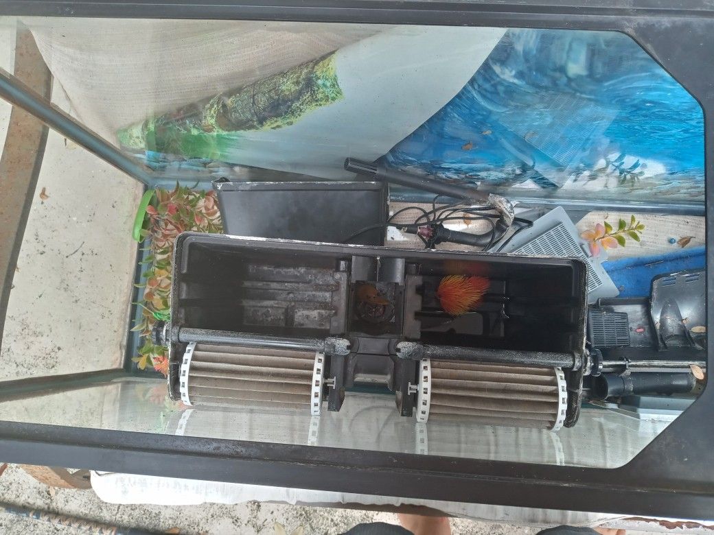 Fish Tanks And Accessories