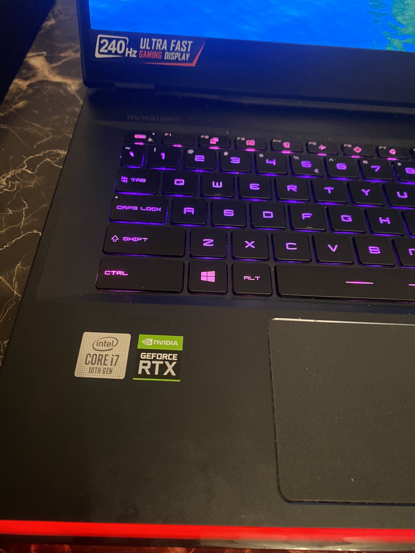 MSI GE66 RAIDER {gaming laptop}