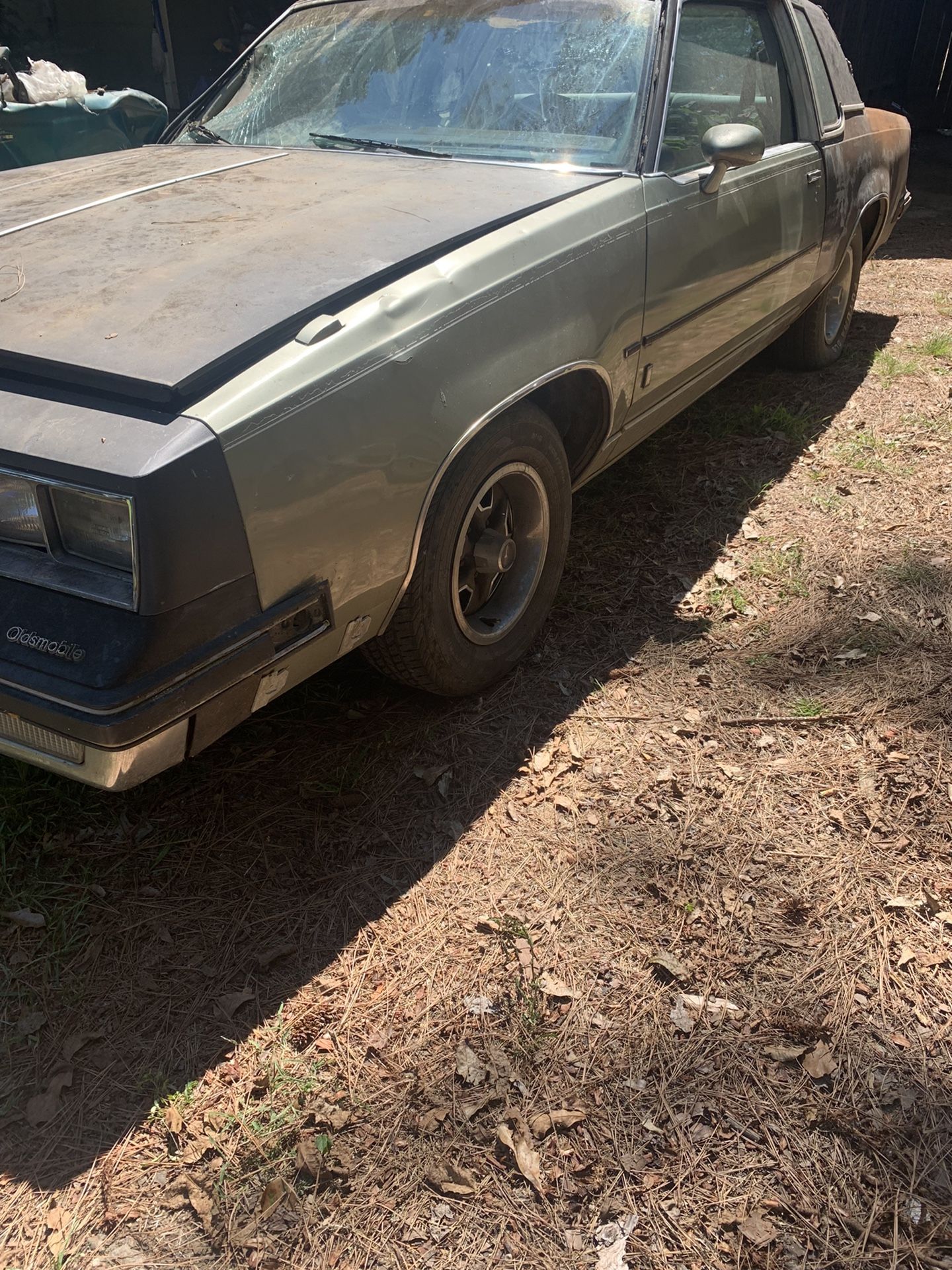 1982 Oldsmobile Custom Cruiser
