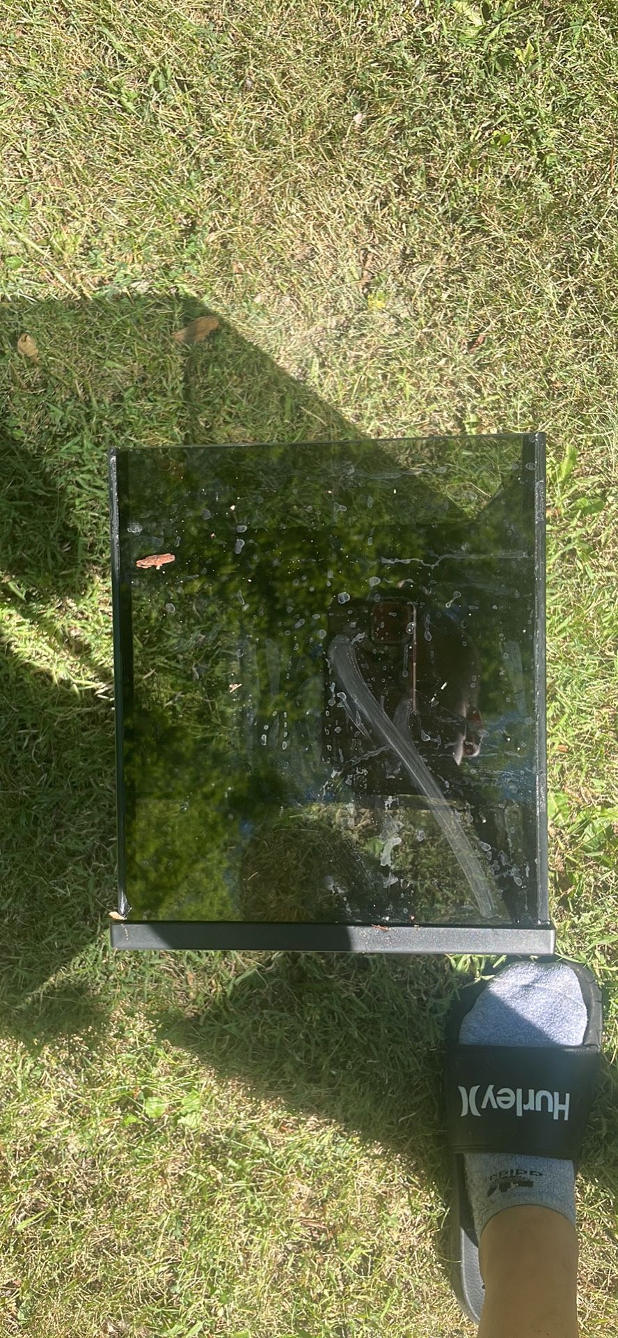Top Fin Tank