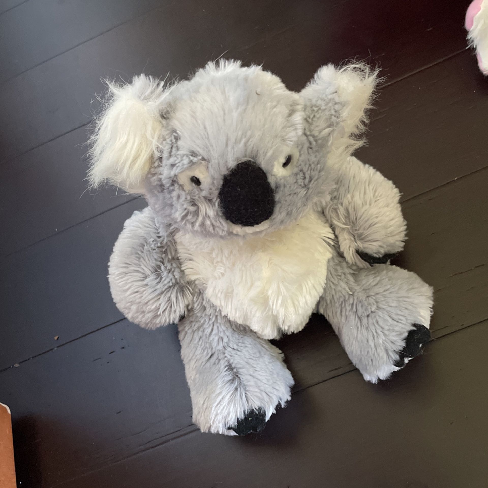 Koala Plushie
