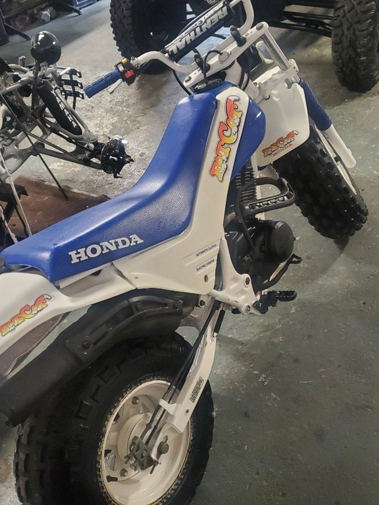 Honda Fat Cat