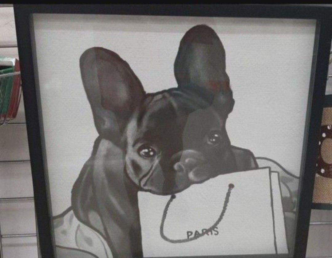 Adorable FRENCHIE BOX FRAMED ART
