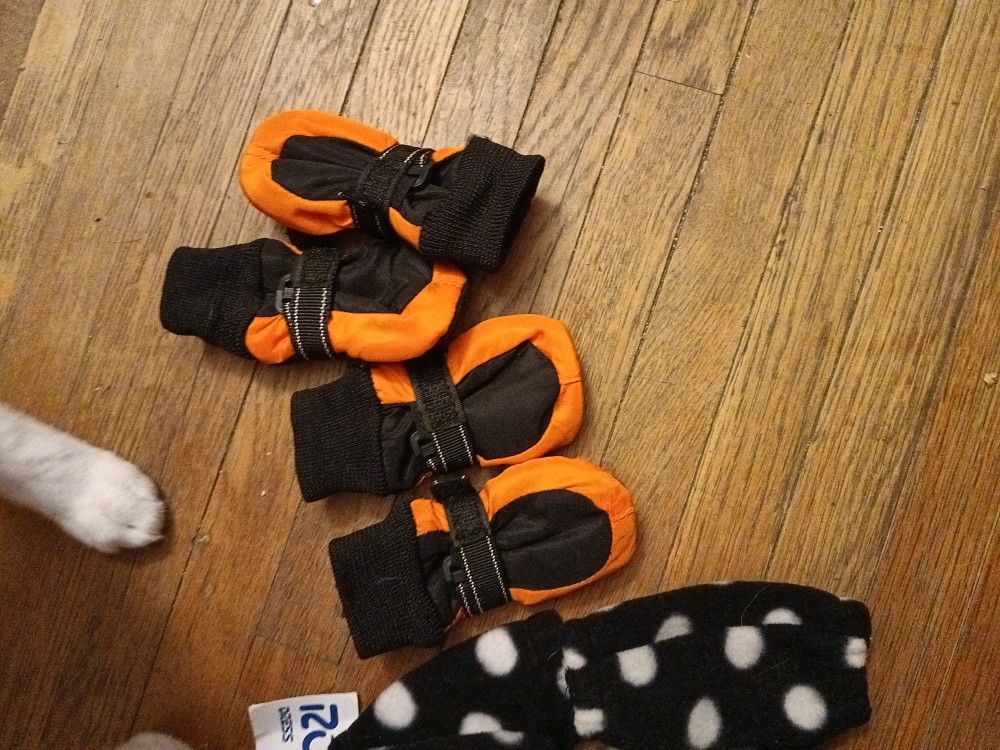 Doggie Boots & Leg Warmers