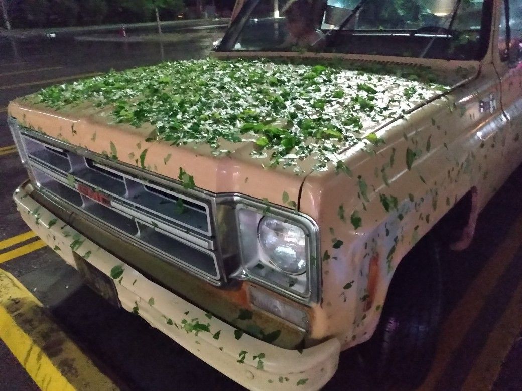 1975 GMC Truck 4x4