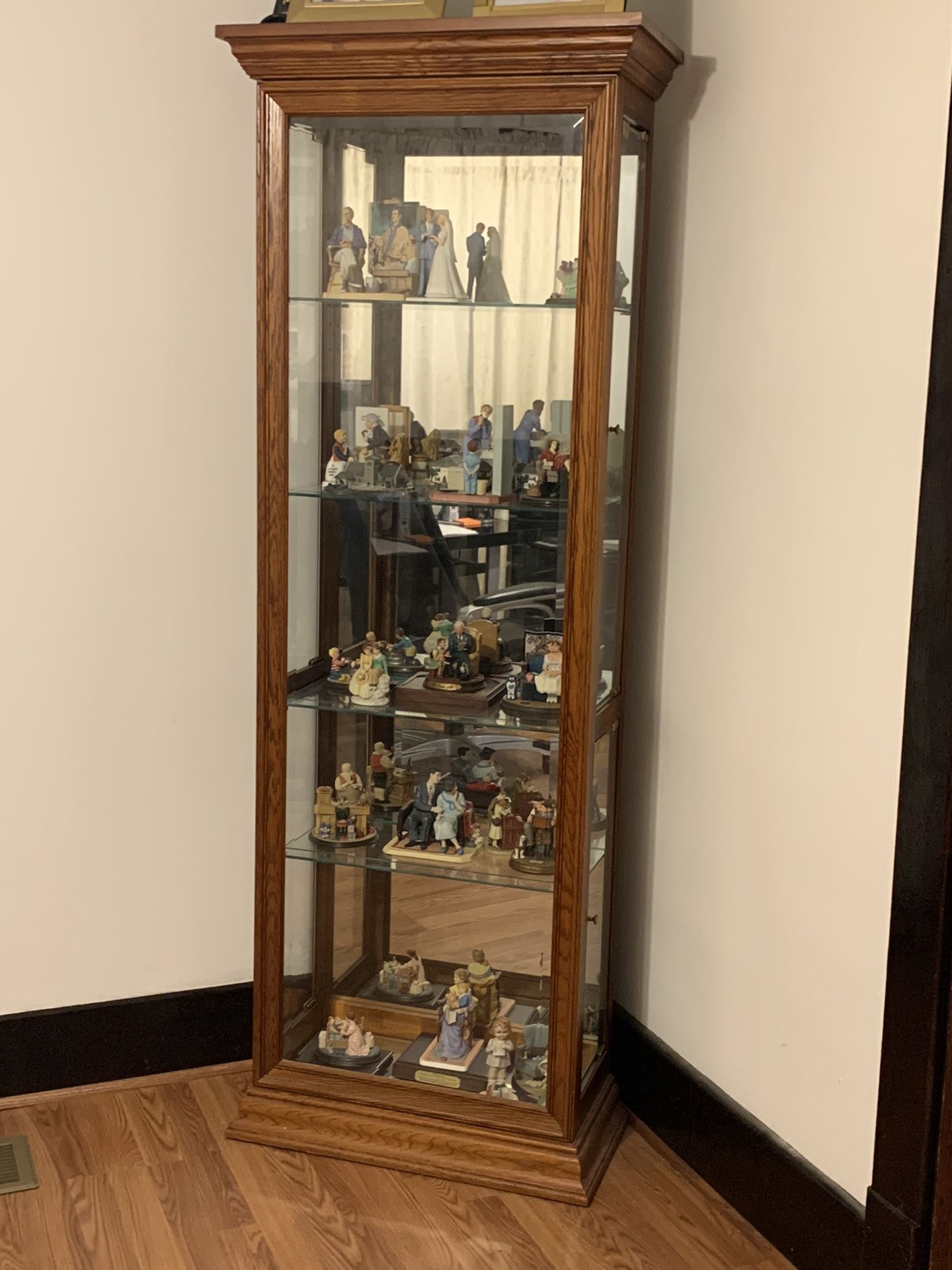Glass Cabinet/trophy Case