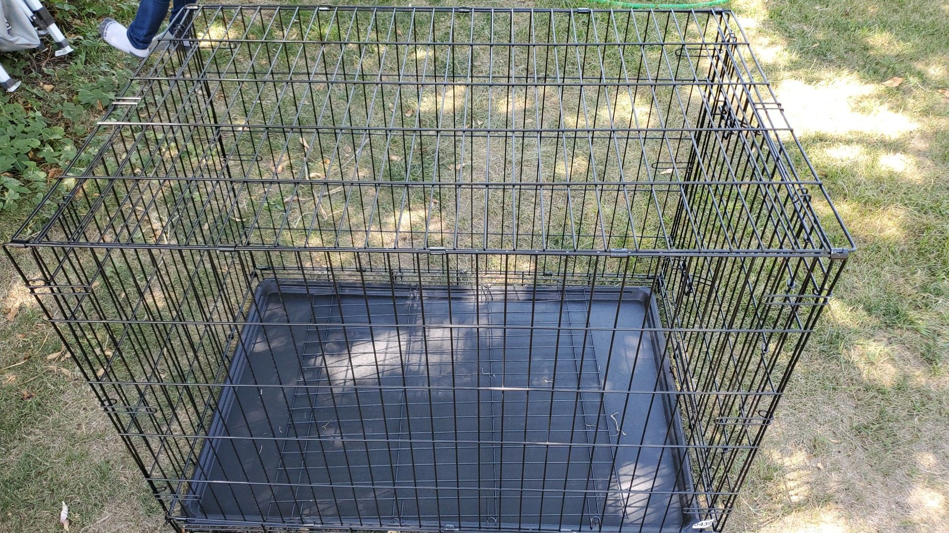 Dog kennel