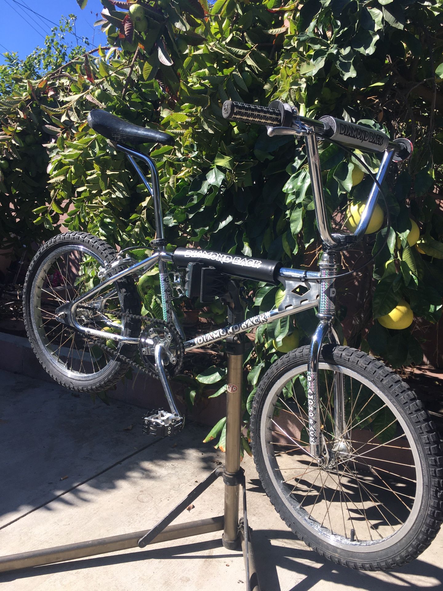 Old School Vintage Bmx 80’s 20” DIAMONDBACK Viper/Silver Streak ? for