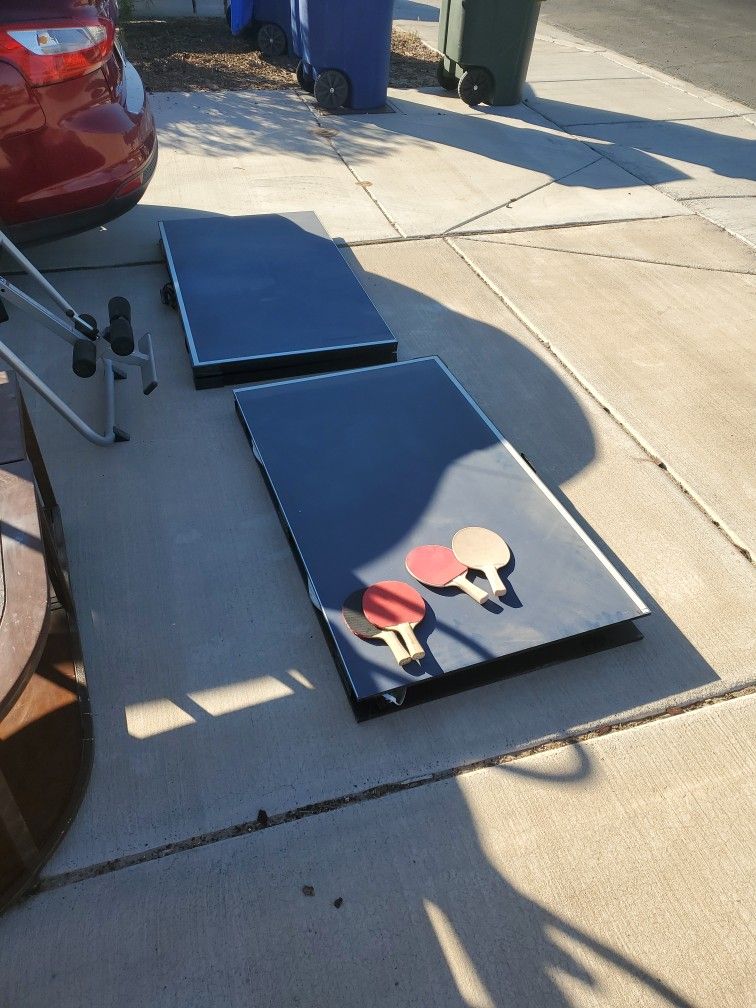 Ping Pong Table