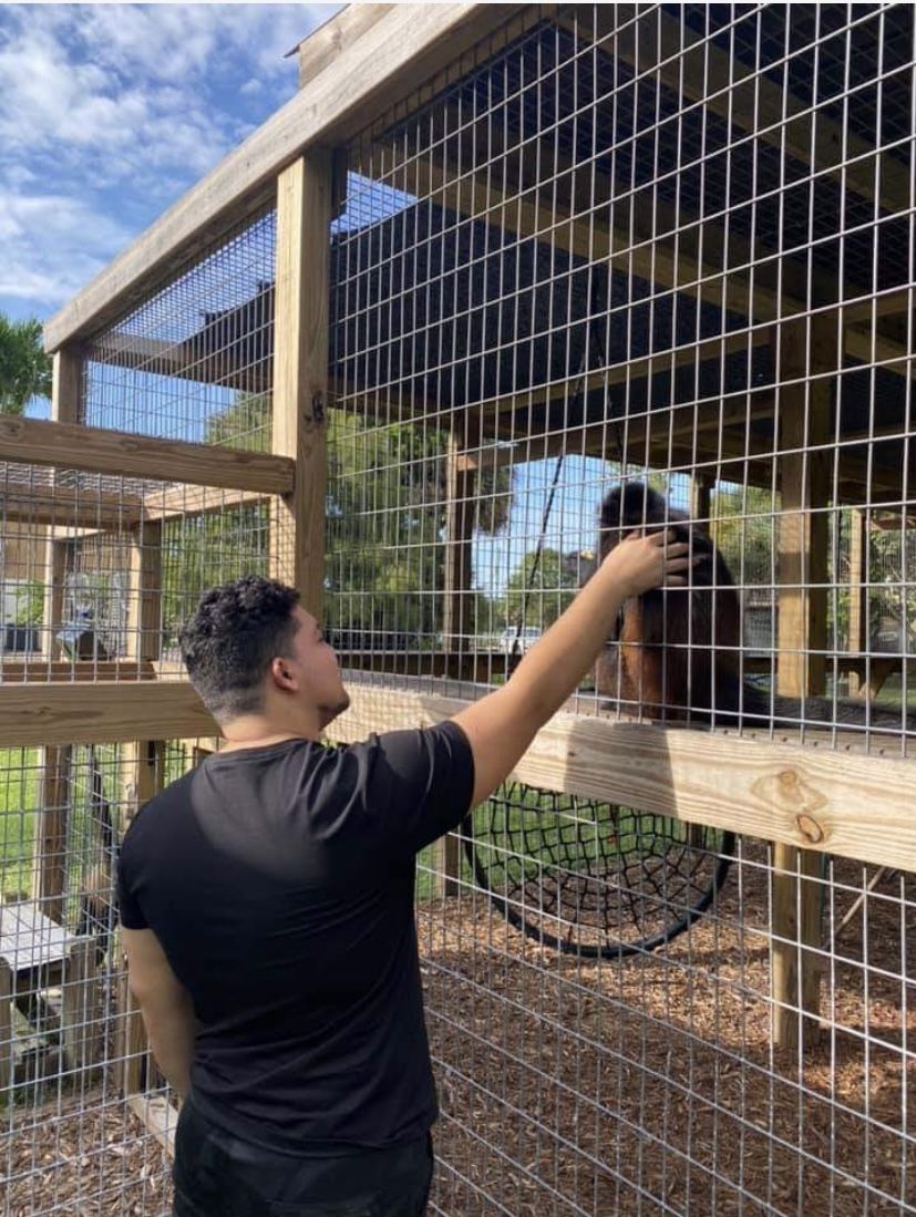 Monkey Encounters
