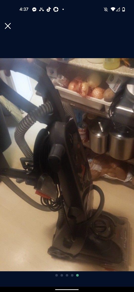 Bissell Carpet Cleaner