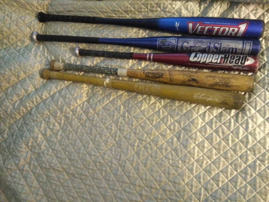 BASEBALL SOFTBALL BACKPACK BAG AND BATS. READ DETAILS