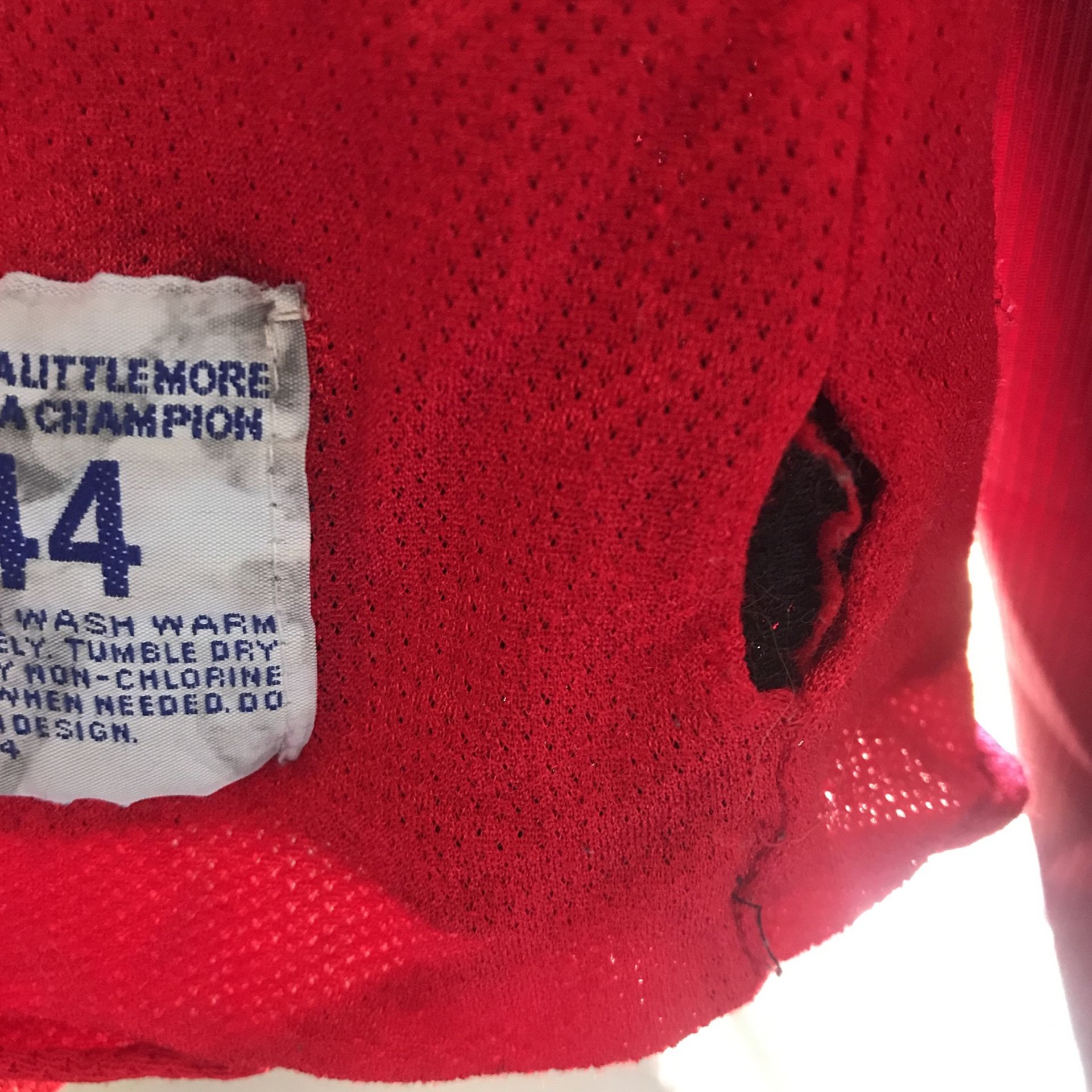 Scottie Pupper Bulls Champion Jersey Reversible