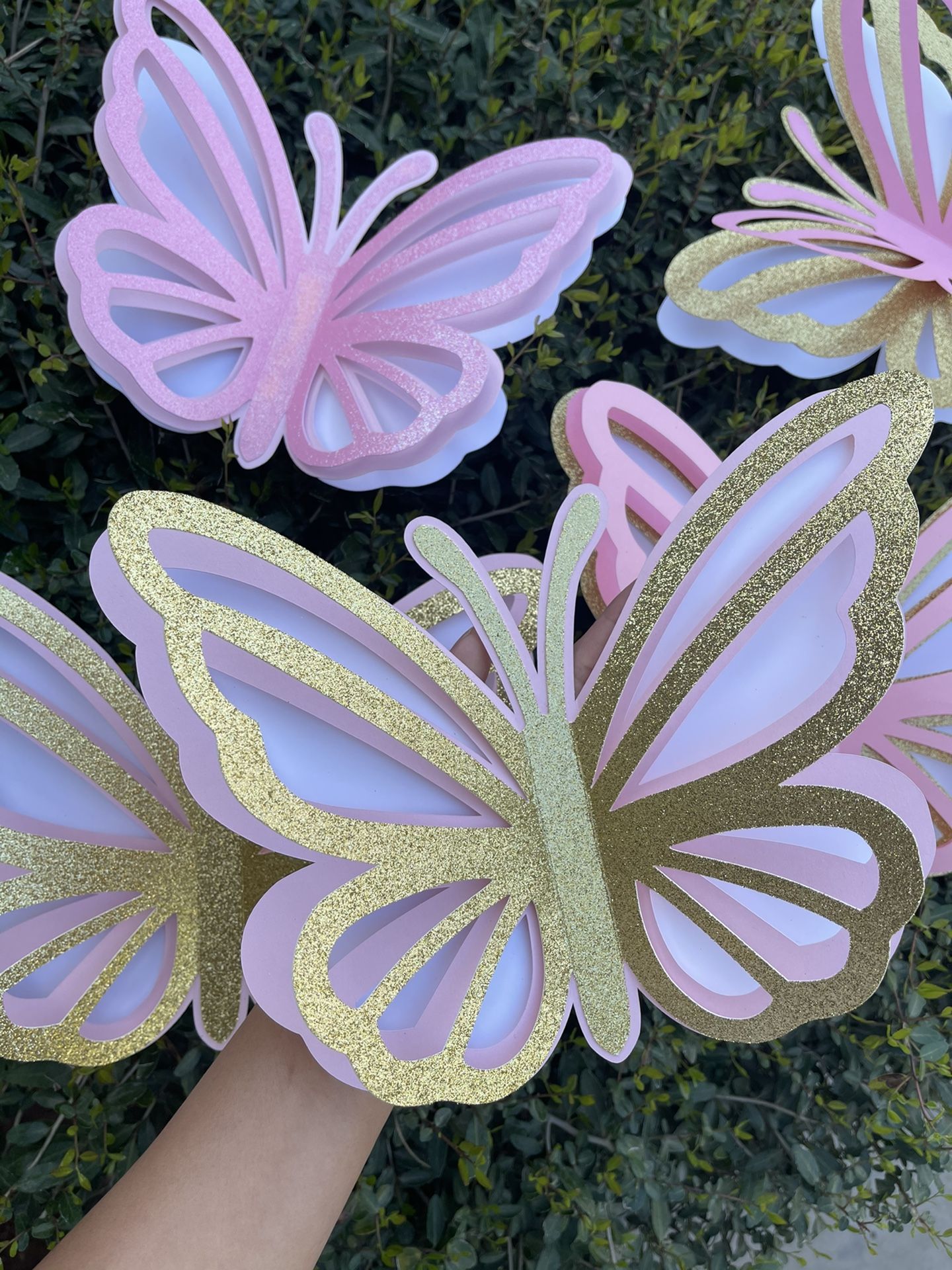3D Large Butterflies