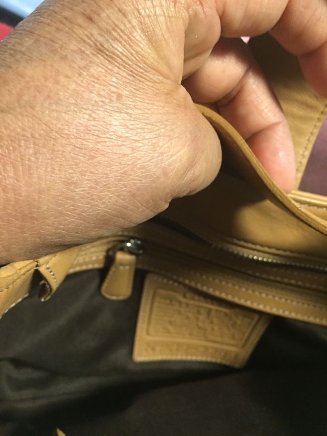 Small 👛 Coach