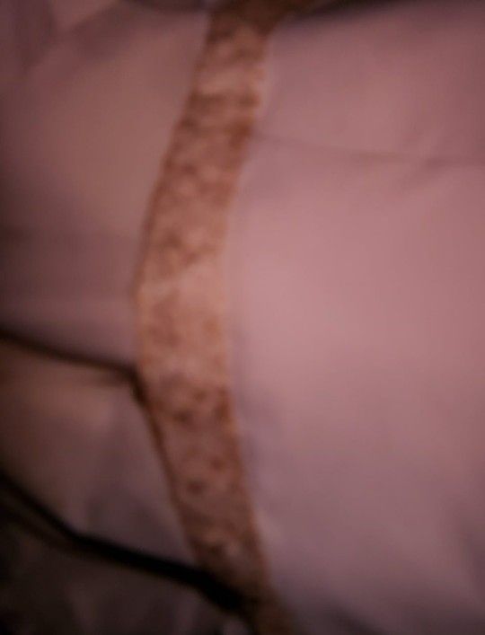 Gorgeous Beige And Gold Wedding Dress
