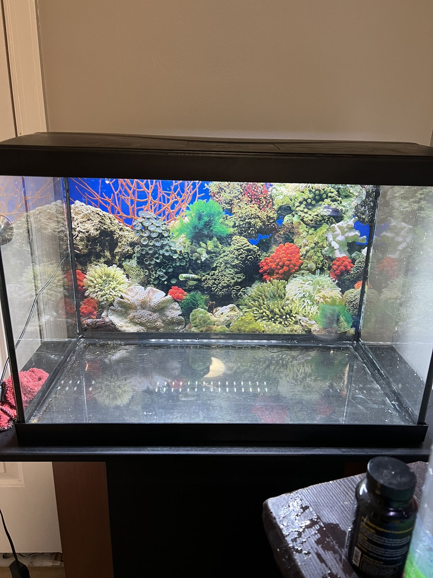 20’ Fish Tank With Stand