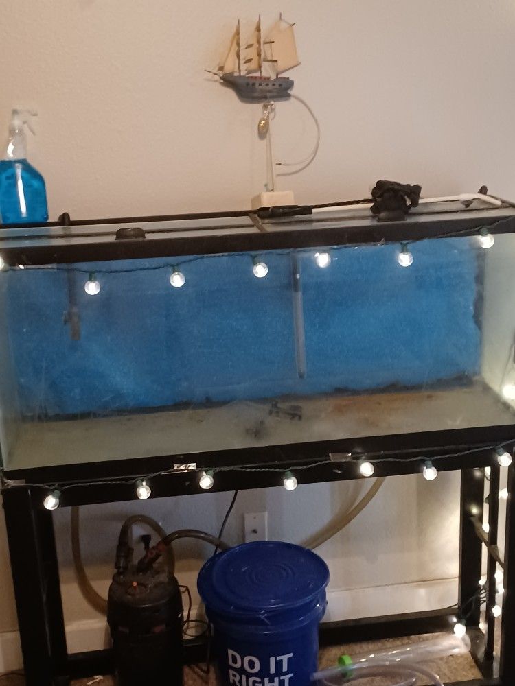 °40-50 ° GALLON -Fish Tank / AQUARIUM
