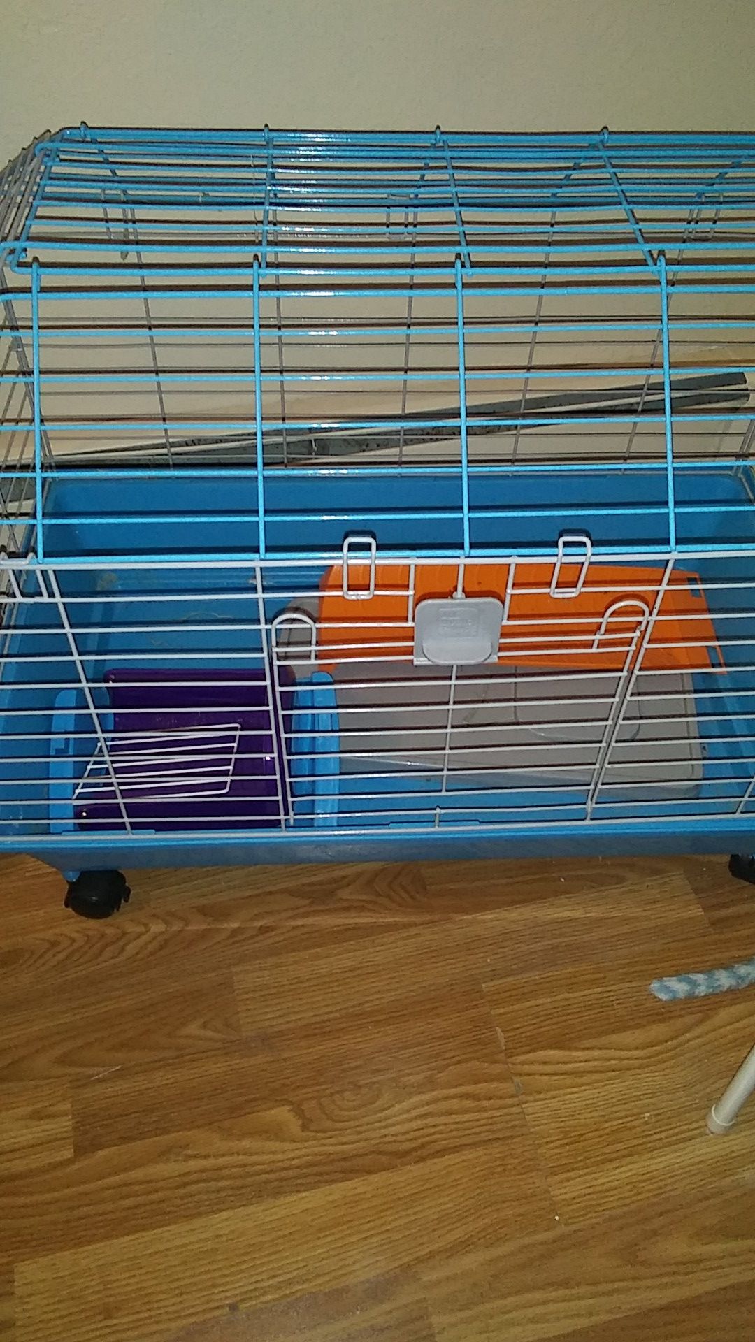 Cage