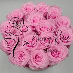 Mother’s Day Eternal Box light pink Roses Velvet Gift Real Preserved Flowers Bouquet Bucket Anniversary Birthday Present Handmade immortal Gift    Thumbnail