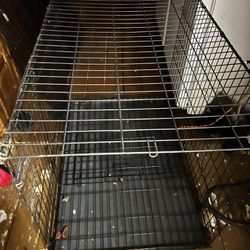 XL Dog Kennel In Very Good Shape  Thumbnail