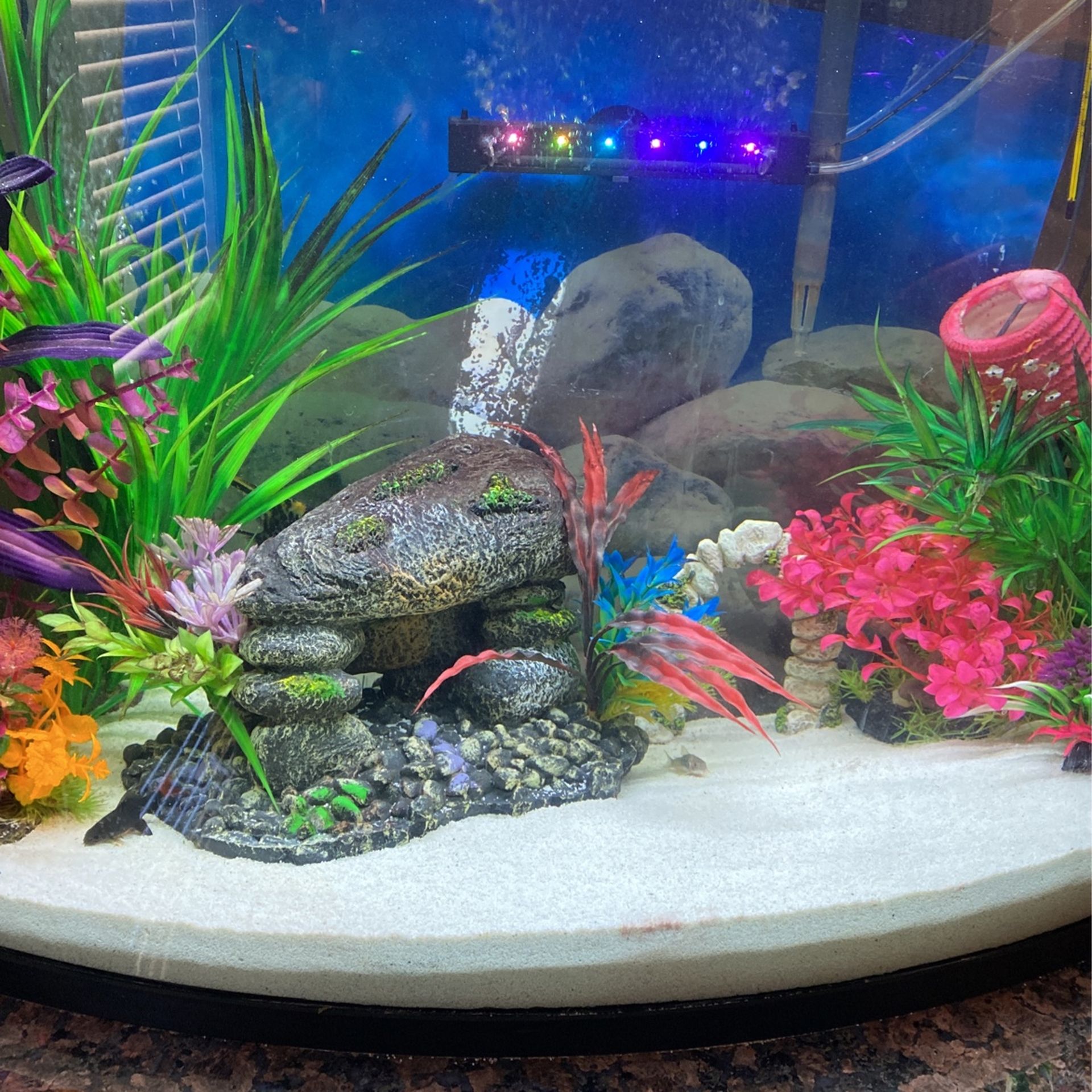 AQUARIUM & HOME DECOR