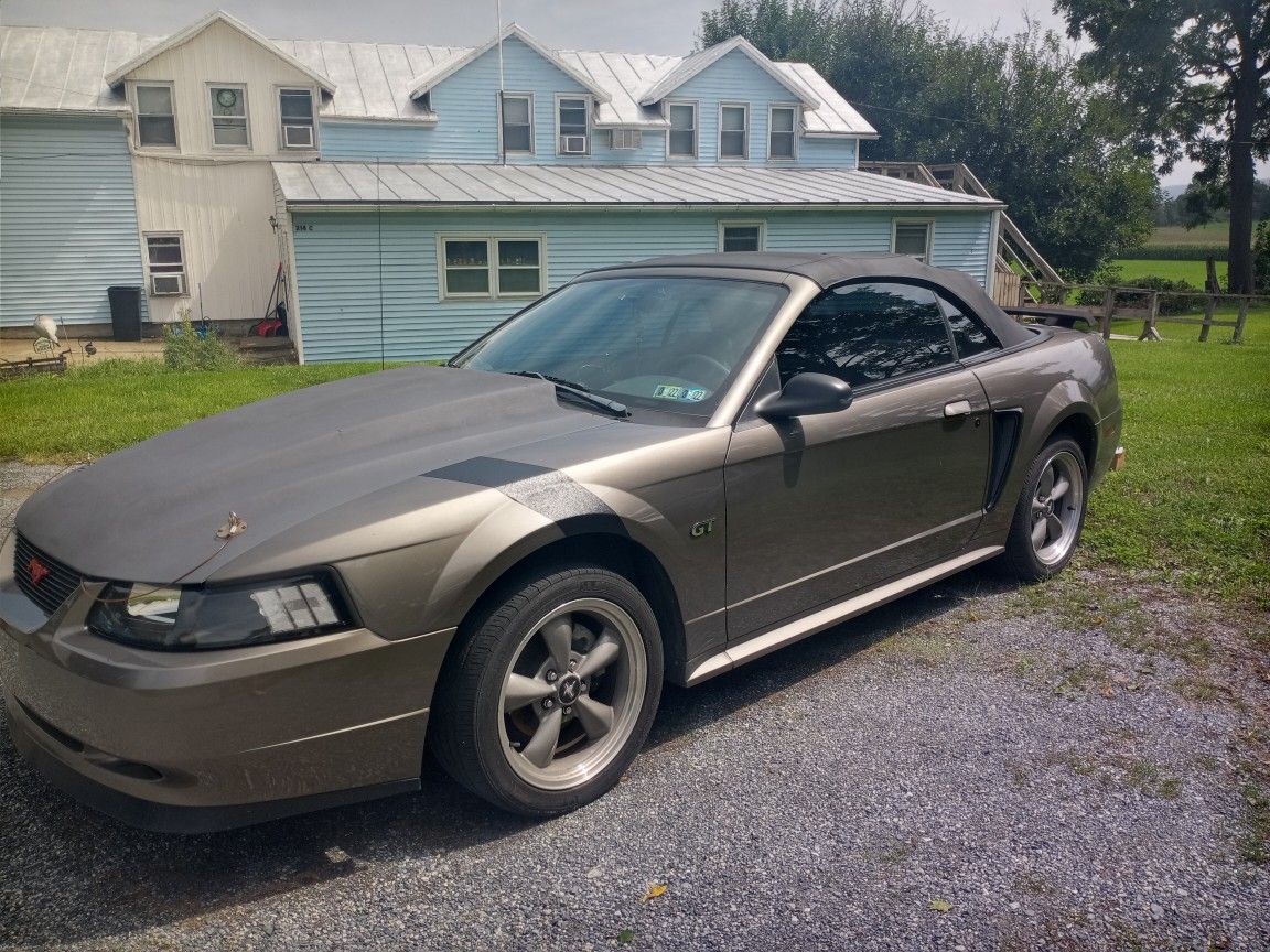 Ford Mustang Wheels 500 OBO