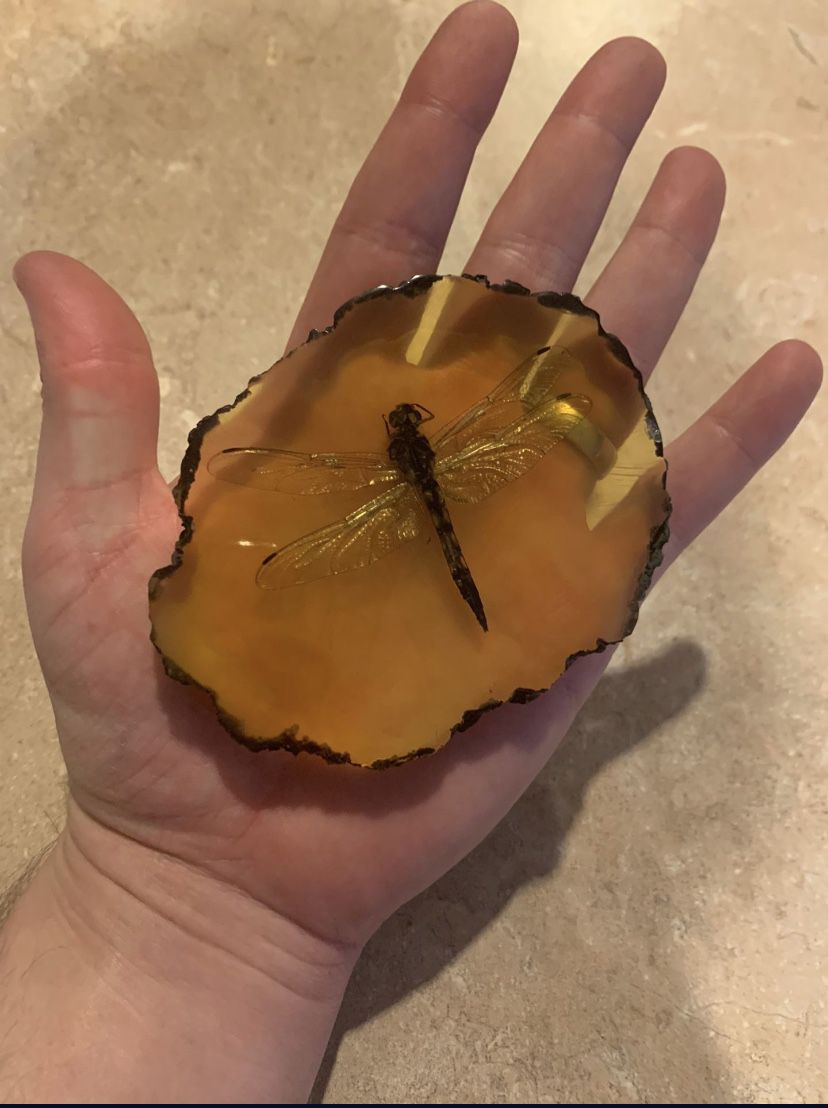 Amber Resin Dragonfly