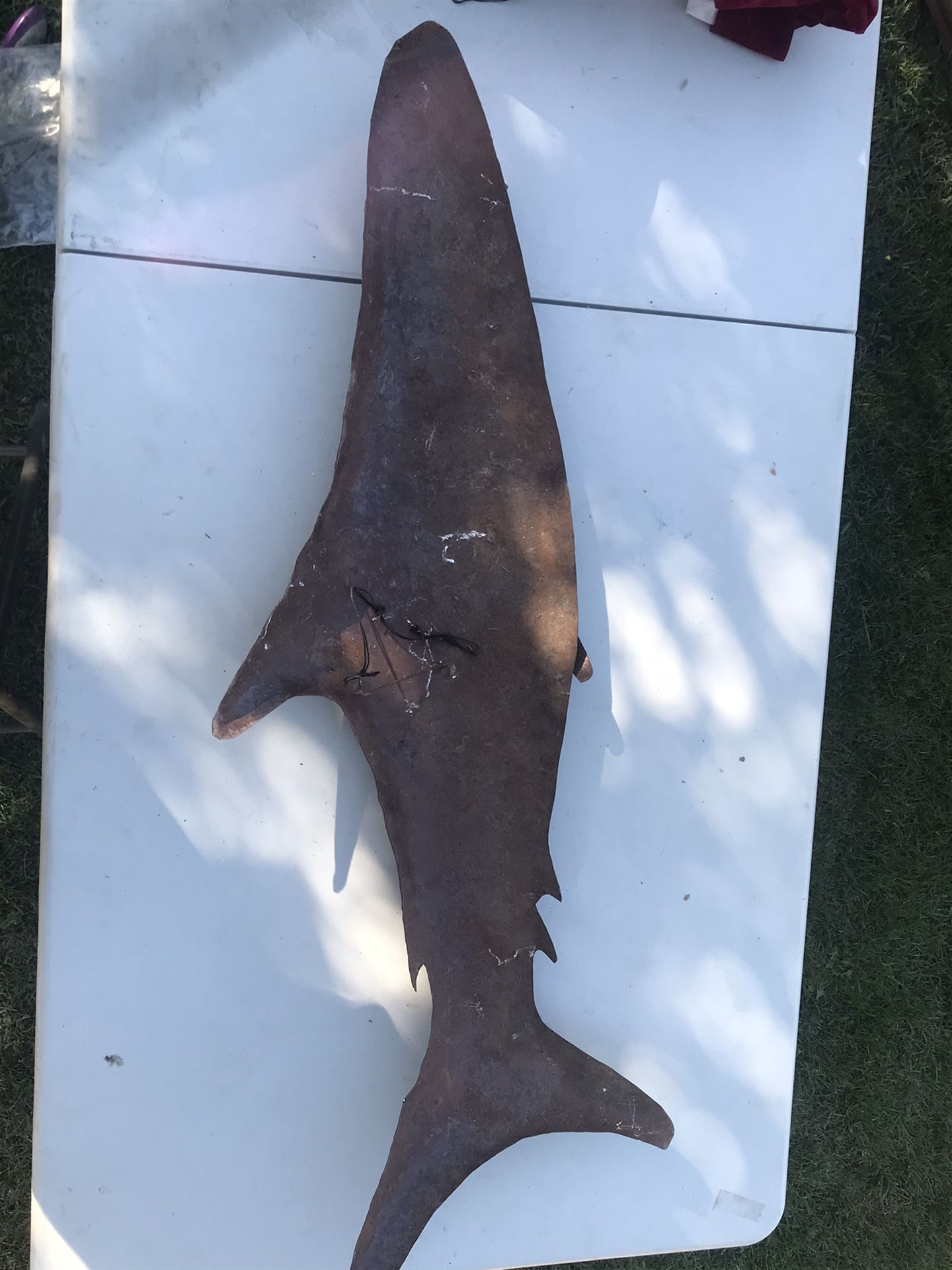 Wall decoration Shark