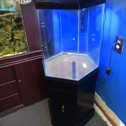 35 gallon Hexagon Aquarium Fish Tank Complete $300 Thumbnail