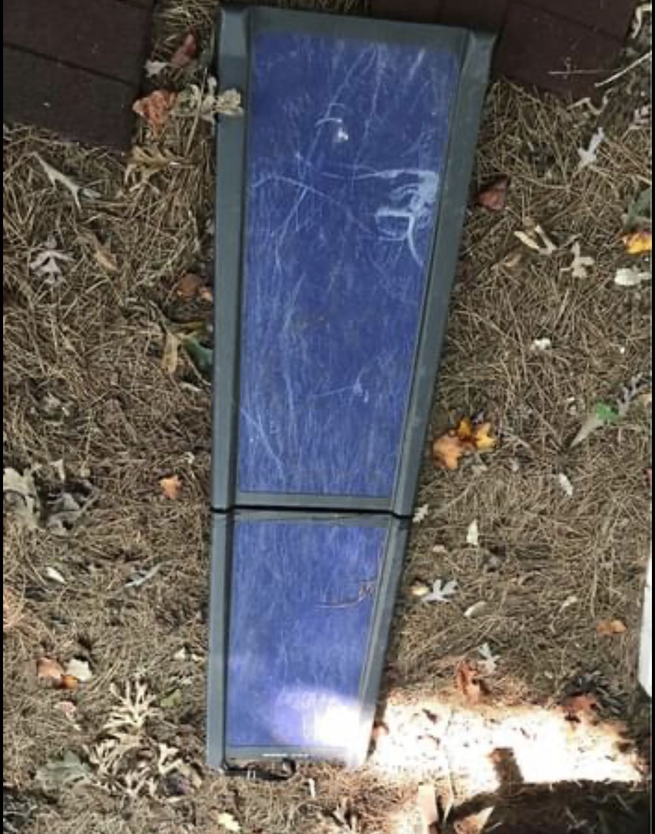 Dog Ramp$25 &More Dog Stuff-if Ad Up-is Available