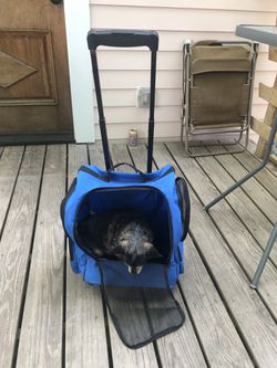 Small Dog Backpack Carrier Thumbnail