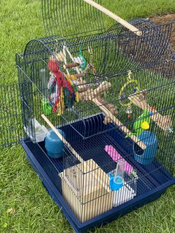 Birds cage In Perfect Condition With Lots Of Extra’s Thumbnail