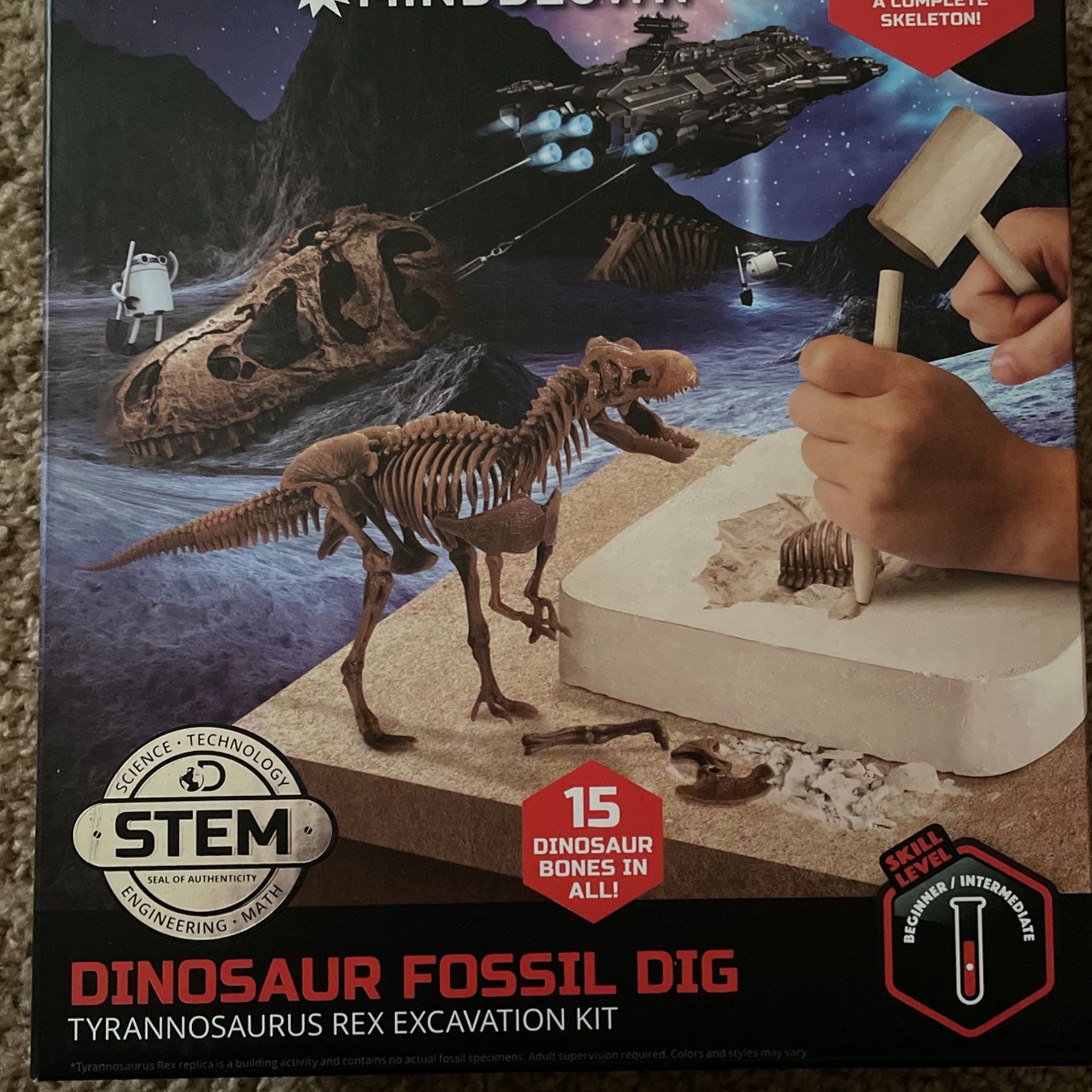 Discovery  Dinosaur Fossil  Dig 