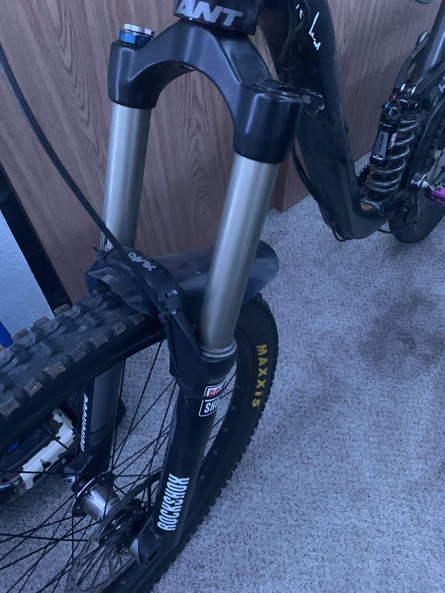 2011 Giant Reign Large 26 In