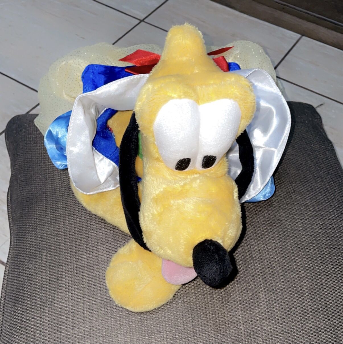 Dog Halloween Costume