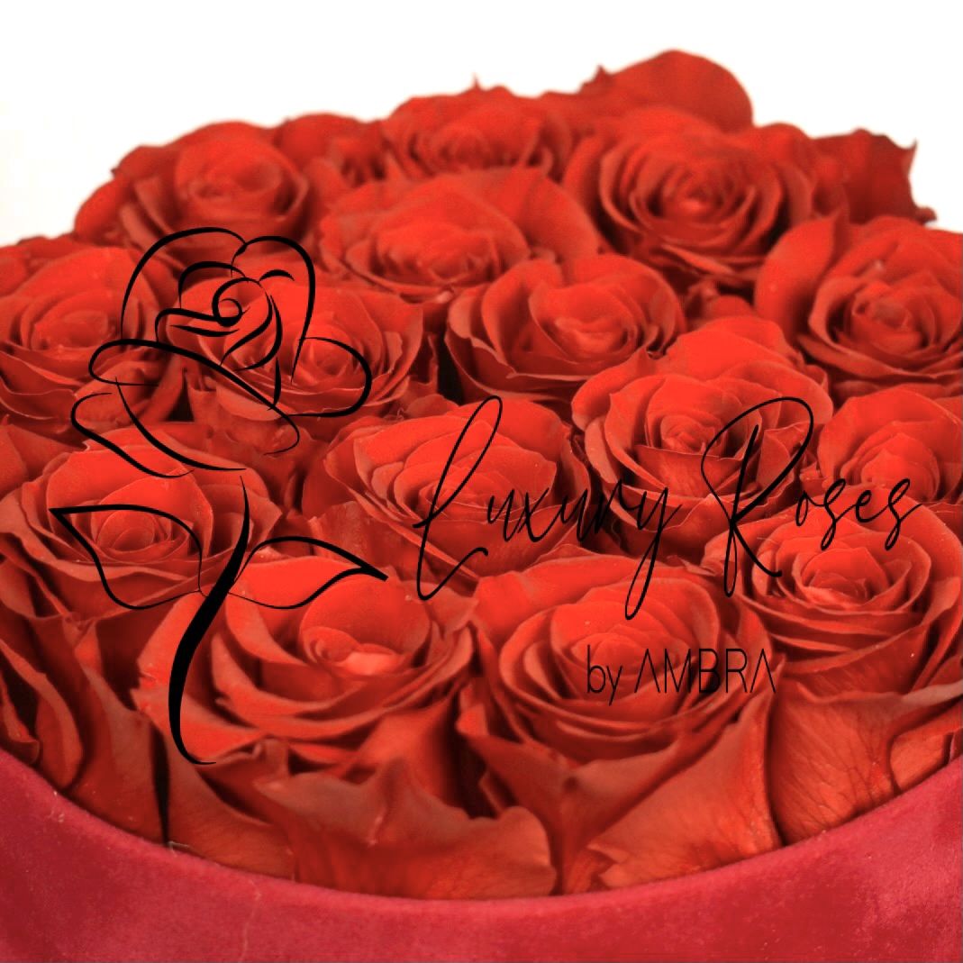 Red roses red velvet Box Eternal Box Roses bucket bouquet Gift Real Preserved Flowers Anniversary Birthday Present Luxury immortal roses