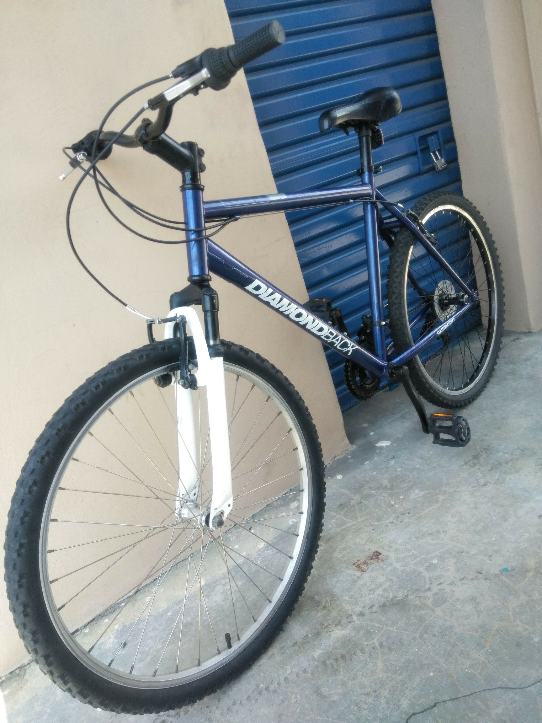 21 bike frame