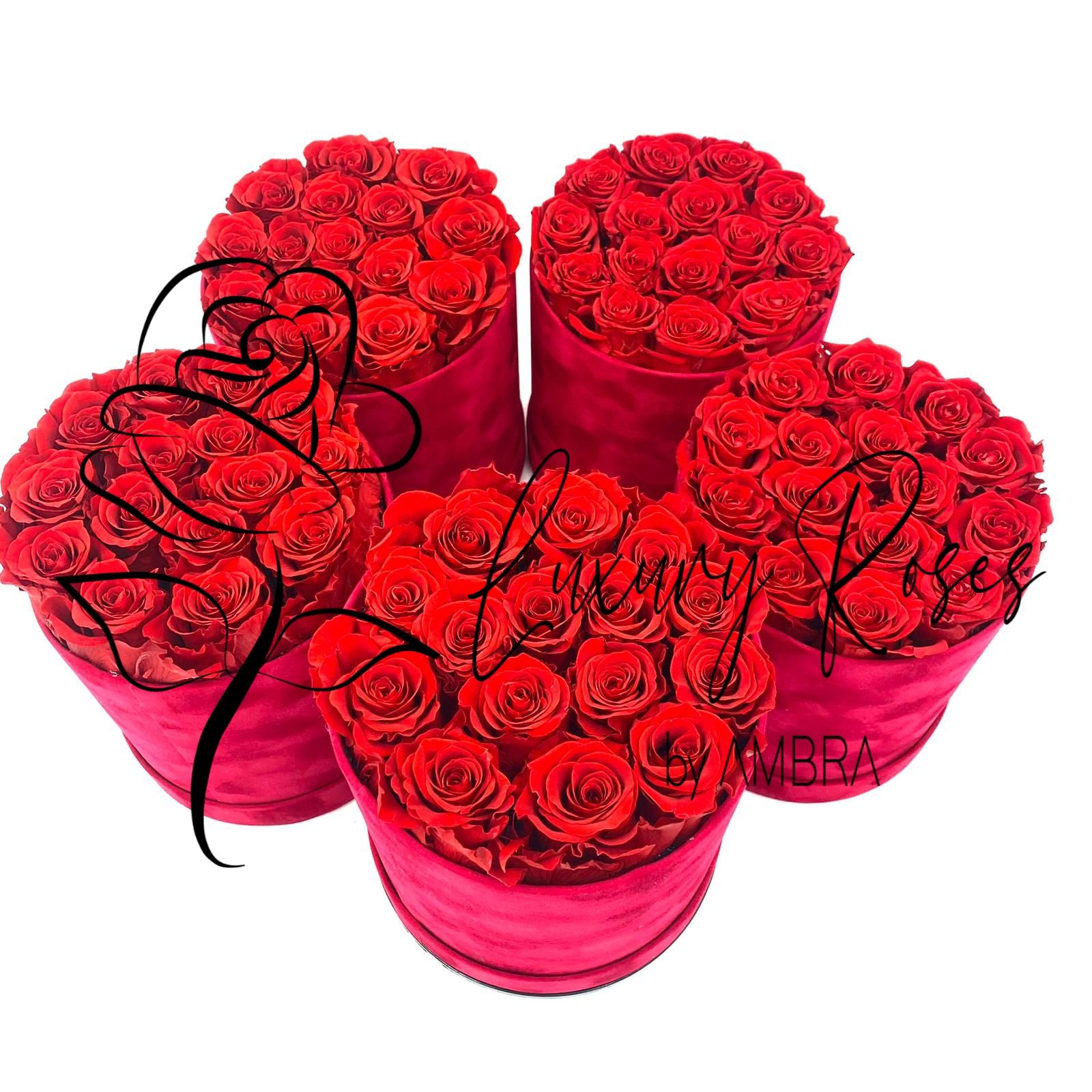 Bundle 3 Eternal Box red Roses Velvet Gift Real Preserved Flowers Bouquet Bucket Anniversary Birthday Present Handmade immortal