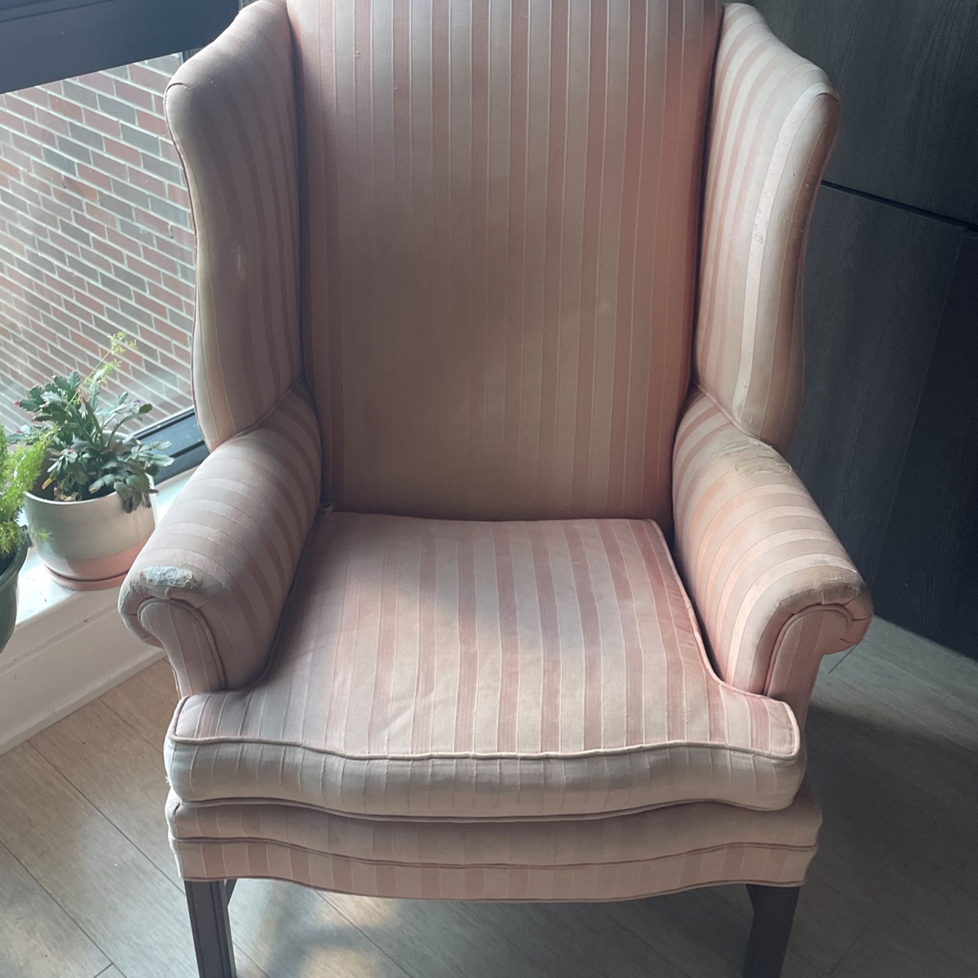 Pink Armchair 