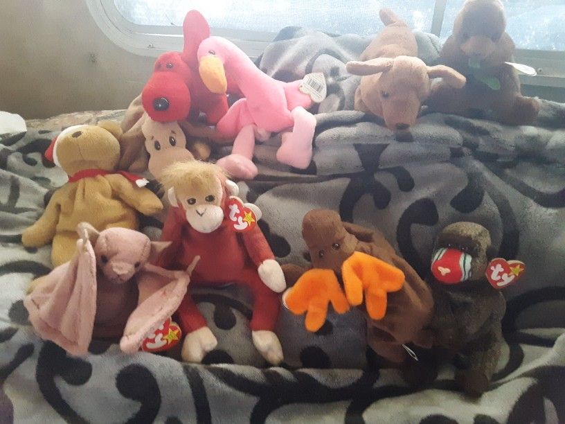 Beanie BABIES