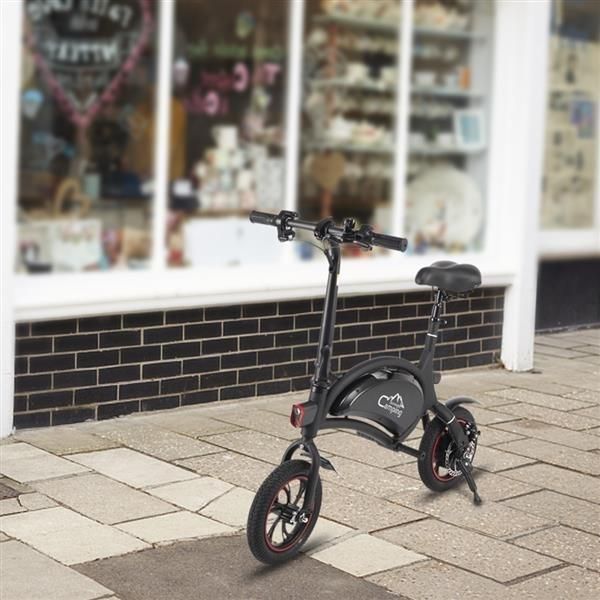 Folding Electric Bike, with 250W Motor and 6 Ah Lithium Battery
