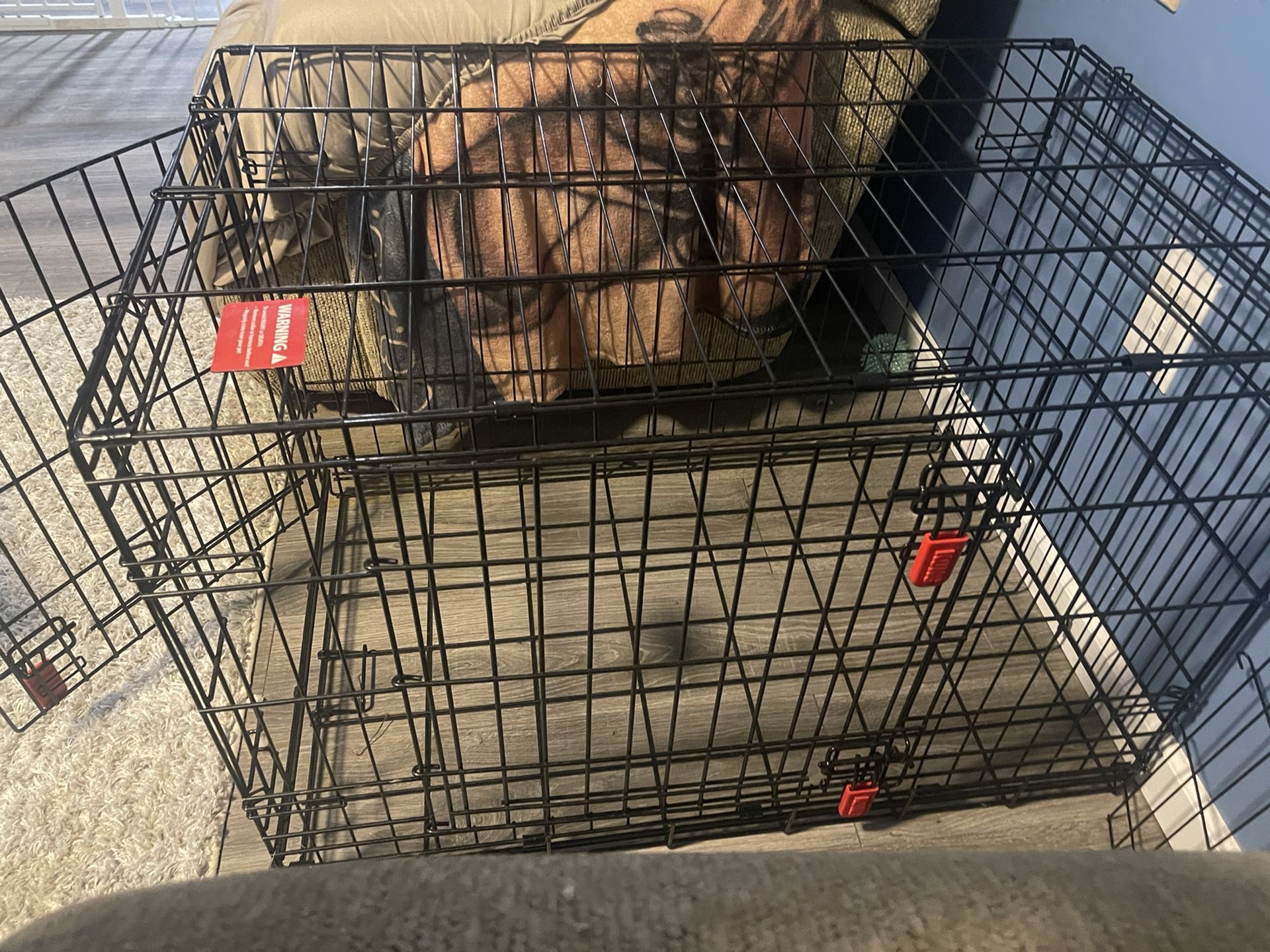 Kong Crate