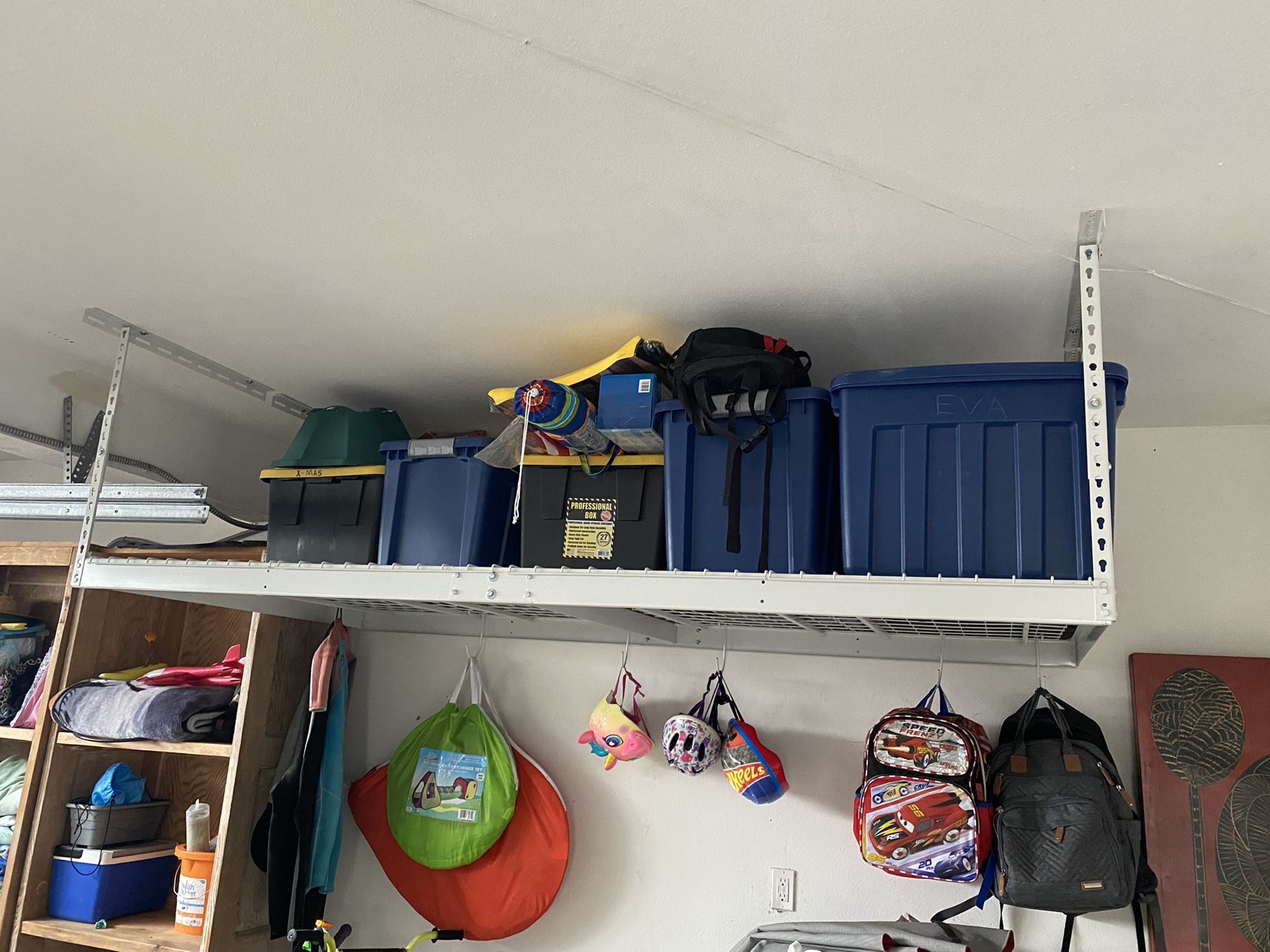 Costco Overhead Storage Dandk Organizer